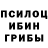 Галлюциногенные грибы GOLDEN TEACHER Sam Sedita