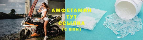 индика Михайлов