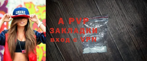 индика Магас
