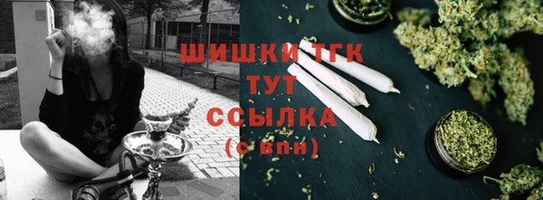 индика Магас