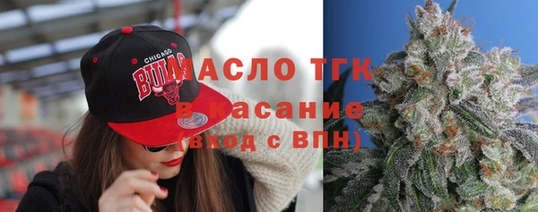 индика Магас