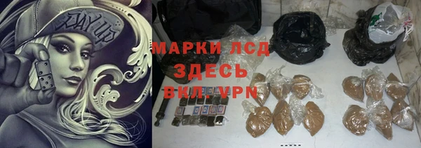 индика Магас